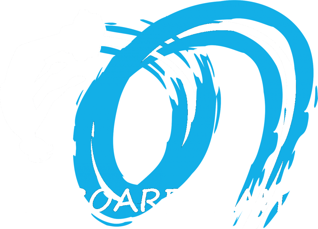 Flyboardpraha.cz